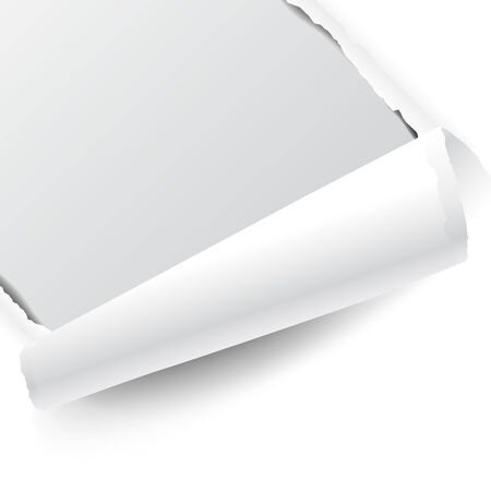 paper isolated on whiteのイラスト素材