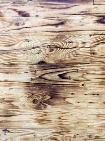 texture of bark woodの写真素材