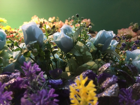 beautiful flowersの写真素材