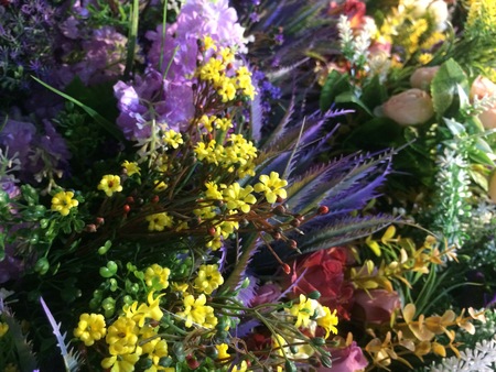 beautiful flowersの写真素材