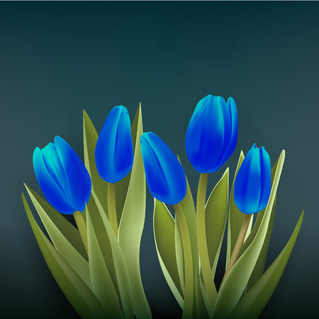 nature backgroundのイラスト素材