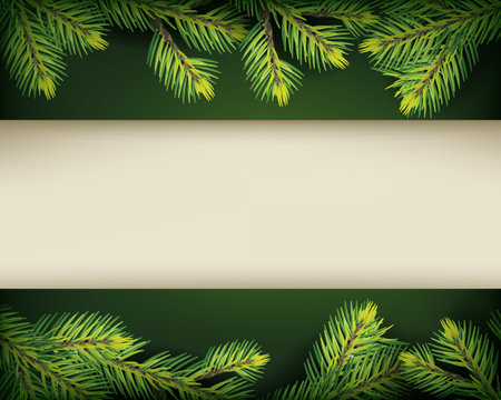green nature background with firs and copy spaceのイラスト素材