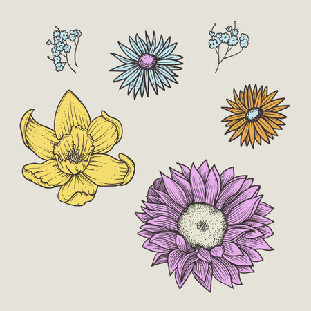 Set of hand drawn flowers. Vector illustration in doodle style.のイラスト素材