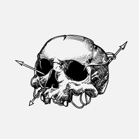 Skull with arrow. Vector illustration in vintage engraved style. Isolated on white background.のイラスト素材