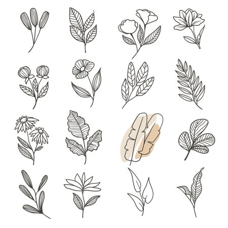 Set of hand drawn flowers, leaves and plants. Vector illustration.のイラスト素材