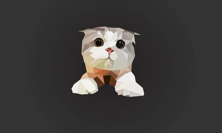 low poly cute cat vector illustration.のイラスト素材