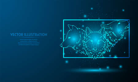 glowing man holding broken flower  on dark blue.  man with starlight background.のイラスト素材