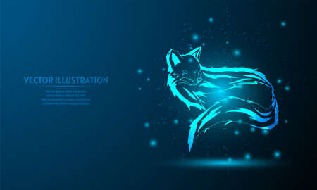 glowing happy halloween on dark blue background of the space with shining stars. halloween background, halloween wallpaperのイラスト素材