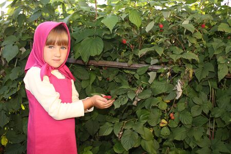 beautiful girl and raspberriesの写真素材
