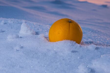Juicy and delicious apple on the snow in the light of the unusual