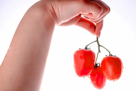 Fetus of tomatoes notable of a hight gustatory and dietary qualitys.の写真素材