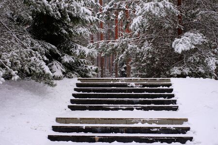 Stair treads covered with snow, the danger to fall to the ground.の写真素材