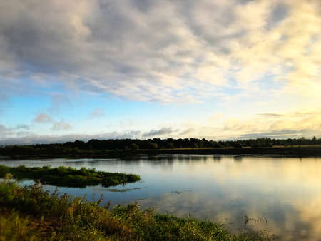 Forest river landscape in the morning. Green trees, thick green grass. Blue sky and calm surface of...
