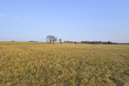 empty field at sunset