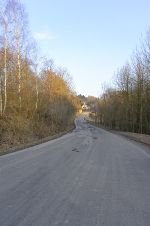 road through the forest to the villageの写真素材