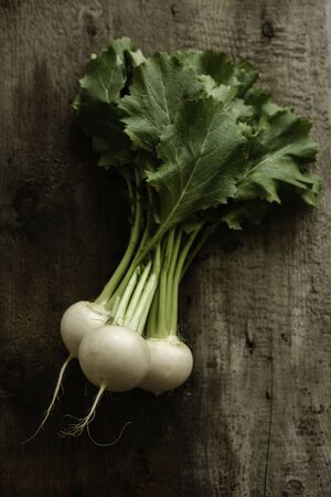 rustic organic turnips with fresh green tops and roots on genuine wood background. vegetarian food, selective focusの写真素材