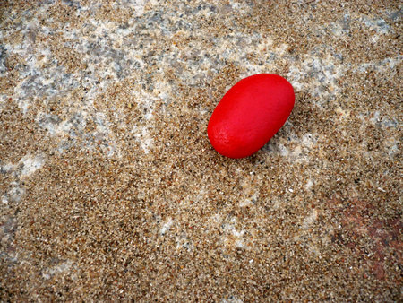 red pebble on sand and rocksの写真素材
