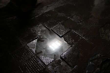 Animals leather factory floor