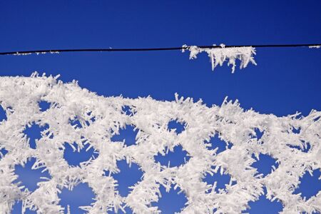 Wire-netting fence with hoarfrost in winter, Germany