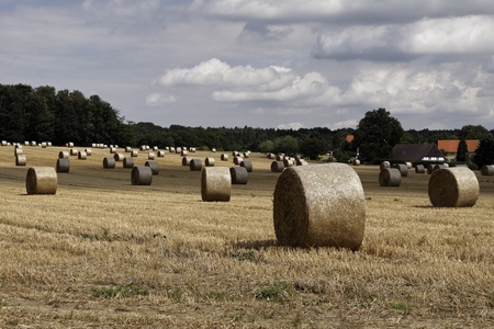 Ostercappeln, round baler, straw bale in Lower Saxony, Germany, Europe