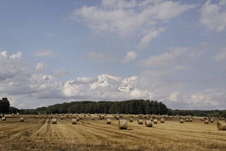 Round baler, straw bale in Lower Saxony, Germany, Europeの写真素材