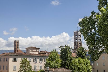 The Cathedral of St Martin in Lucca Cattedrale di San Martino Duomo di Lucca Tuscany Italyの写真素材