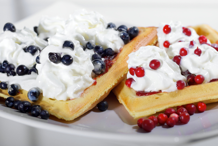 Homemade waffles with fresh blueberries and cranberriesの写真素材