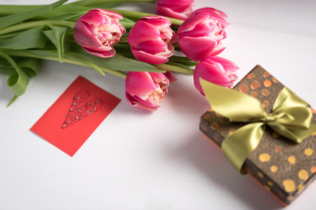 Tulip giftの写真素材
