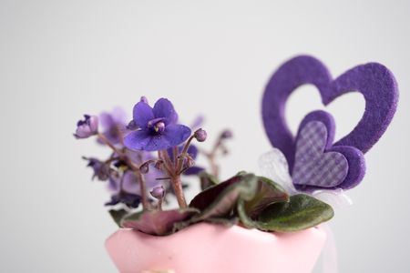 Homemade decorationの写真素材