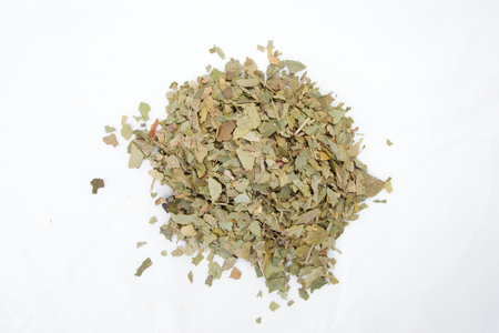Chinese herbal healthy natural tea Ginkgo Bilobaの写真素材