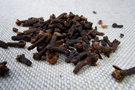 Clove - Syzygium aromaticum spicesの写真素材