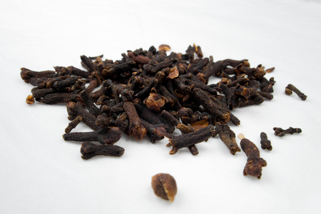 Clove - Syzygium aromaticum spicesの写真素材