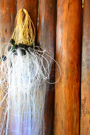 the net の写真素材