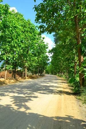 the wayの写真素材