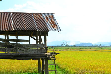 Little cottageの写真素材