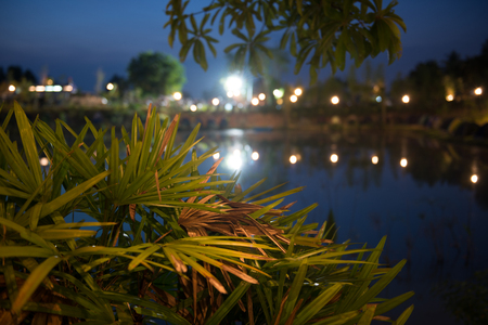 Night Camping in the parkの写真素材