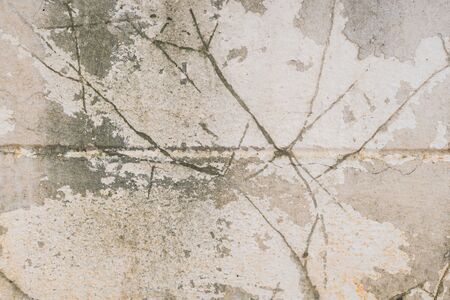 old wall texture with tree root printの写真素材