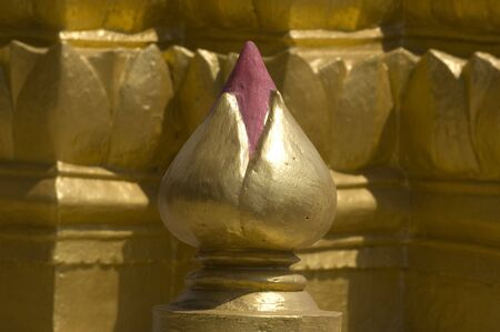 Golden lotusの写真素材