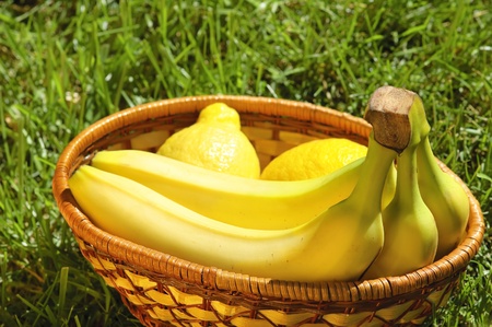 Wicker basket with bananas and lemons on a green grassの写真素材