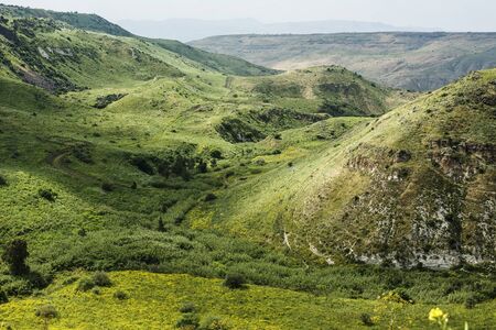Green Hills with Blooming Wild Flowers and Rural Path in Spring. Viewpoint of Pure Nature Hiking Trail. El Al Reserve, Israelの写真素材