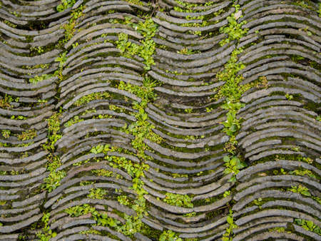 old brick floor backgroundの写真素材
