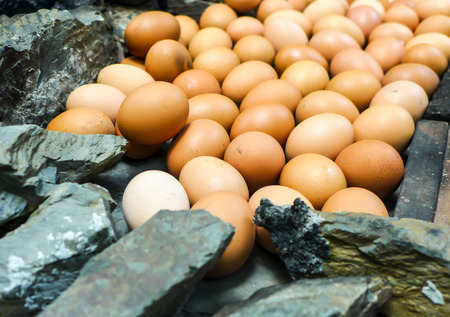 Eggs are cooked by placing on hot stone.の写真素材