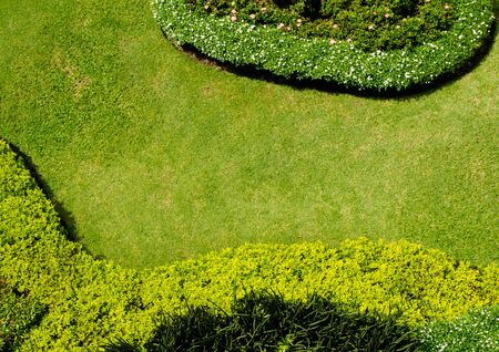 top view of green grass field plants and trees in the small gardenの写真素材