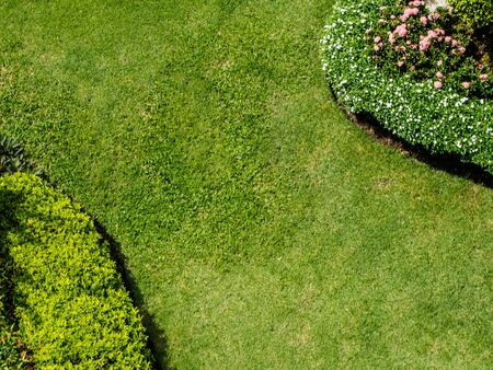 top view of green grass field plants and trees in the small gardenの写真素材