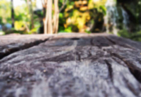 blur wooden floor , blur nature backgroundの写真素材