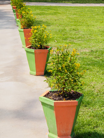 Row of tree pots along the cement walkwayの写真素材