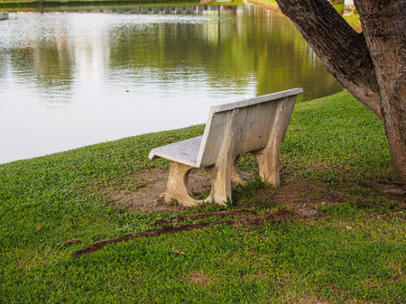 stone bench under the tree near the pondの写真素材
