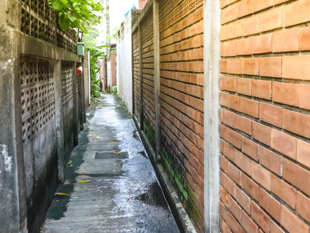 The narrow corridor between the two wallsの写真素材