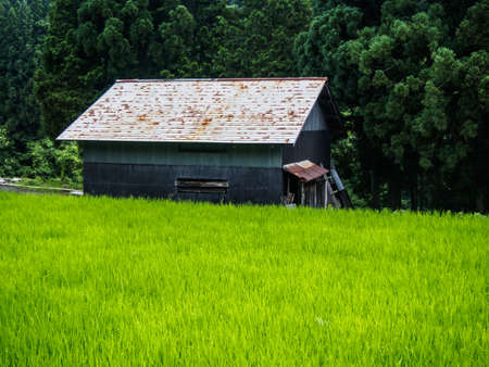 Gassho-zukuri house , Historic Village of Shirakawa-go in summer , Japanのeditorial素材