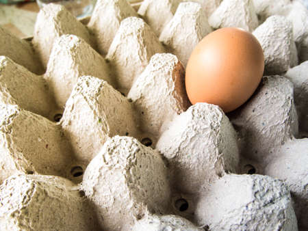 close up an egg in the egg tray
